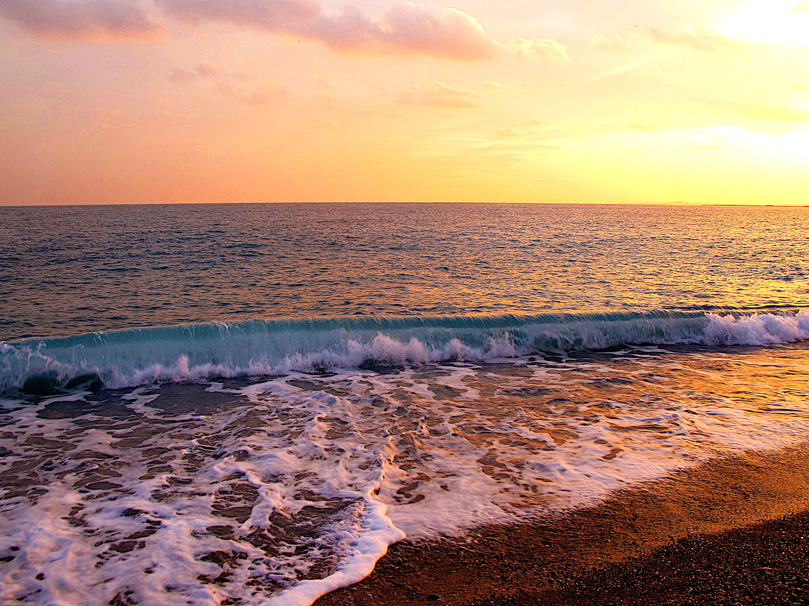 Sunset Beauty